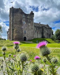 Medieval stone castle on a green hill with purple thistle flowers in the foreground under dramatic clouds