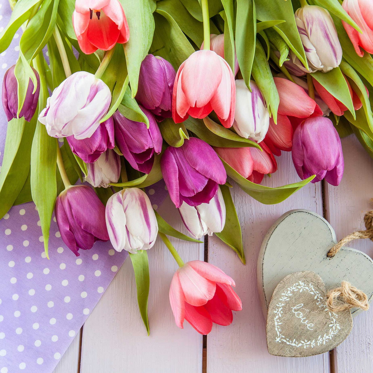 Colorful tulips in pink, purple and white laid on white wooden planks with decorative heart boxes