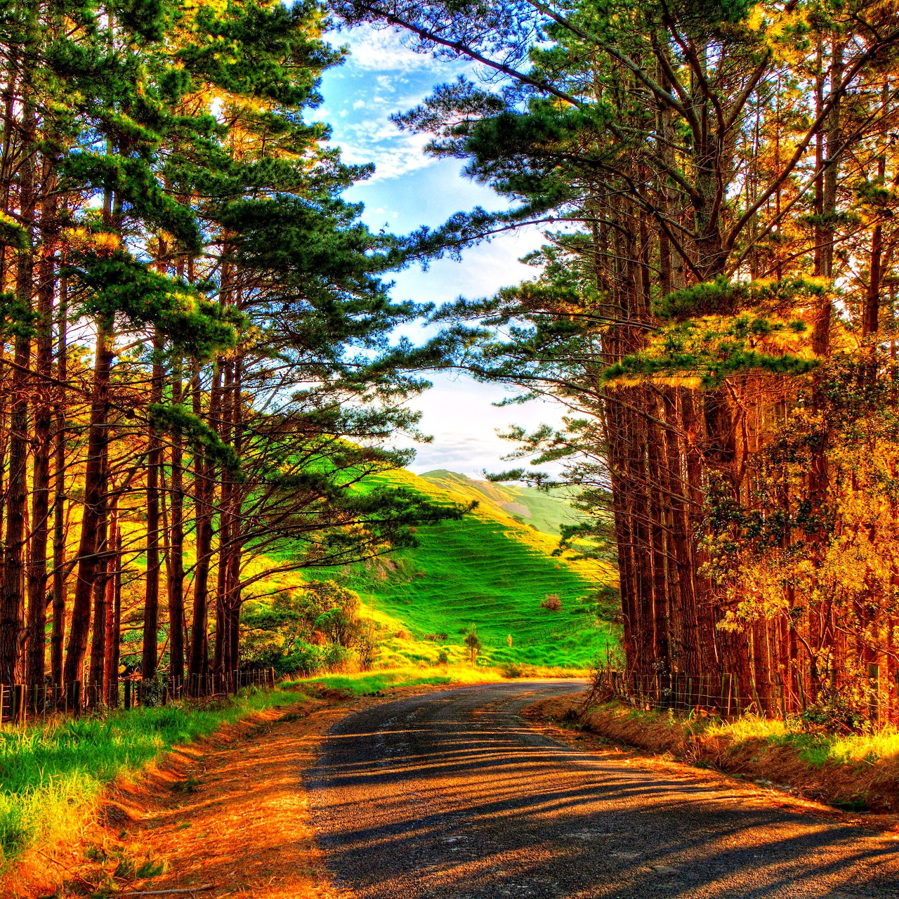 Dirt road through autumn forest with colorful foliage forming a tunnel leading to green hills and sky