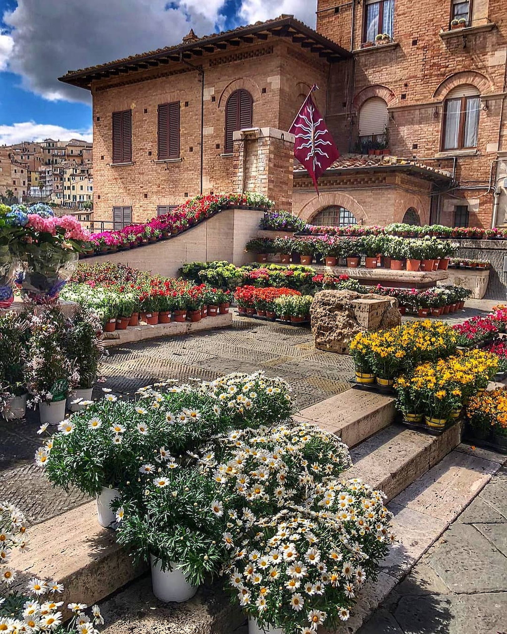 Flower market with colorful potted plants on steps in front of historic Italian brick buildings