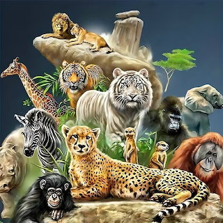Wildlife Collage