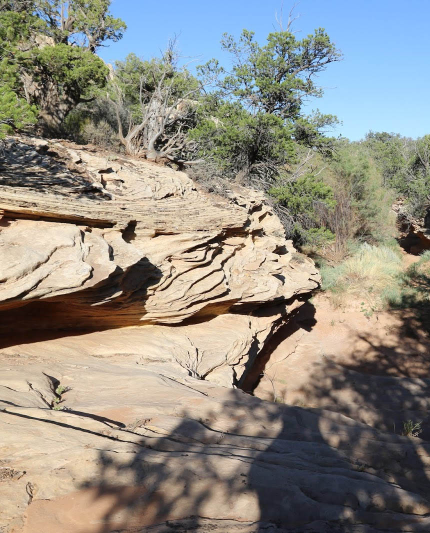 Eroded sandstone rock overhang with layered striations in a dry desert landscape with scattered trees