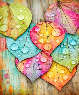 Colorful Autumn Leaves with Droplets