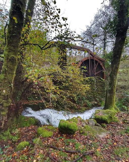 Old Watermill in Forest