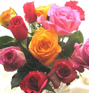 Bouquet of colorful roses in pink, red, orange, and yellow with green foliage