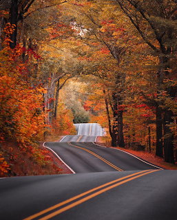 Curving road beneath a canopy of colorful autumn trees with orange and red foliage