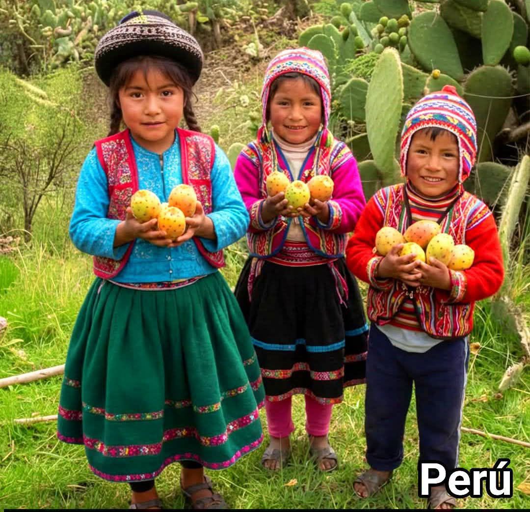 Three children in traditional Peruvian clothing holding corn outdoors near cactus plants