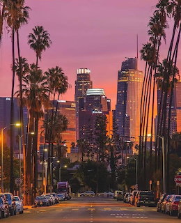 Los Angeles skyline at sunset with palm trees lining street in foreground