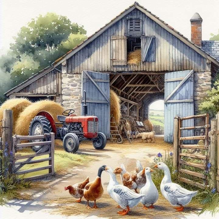 Farm Barn with Poultry