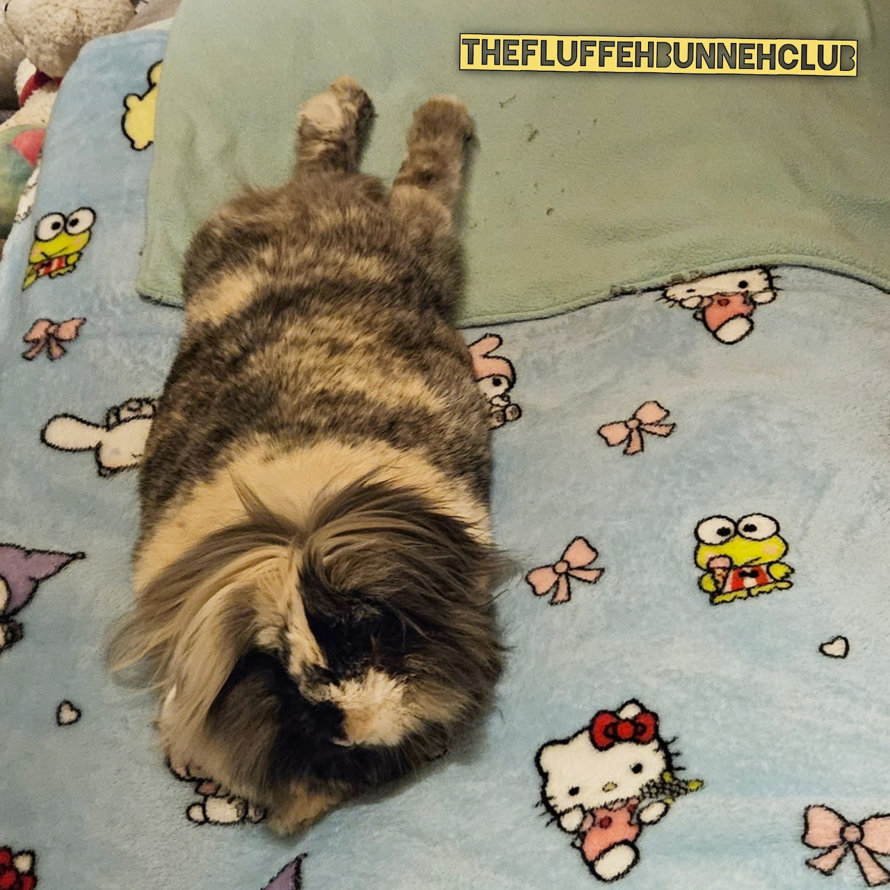 Fluffy grey and white lop-eared buny lying stretched out on a blue cartoon-print blanket