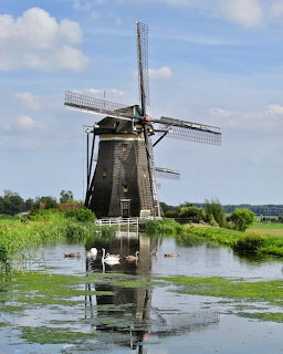 Dutch windmill by a pond with swans, green reeds, and blue sky