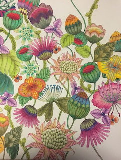 Colorful hand-colored botanical illustration with various flowers and leaves in vibrant hues