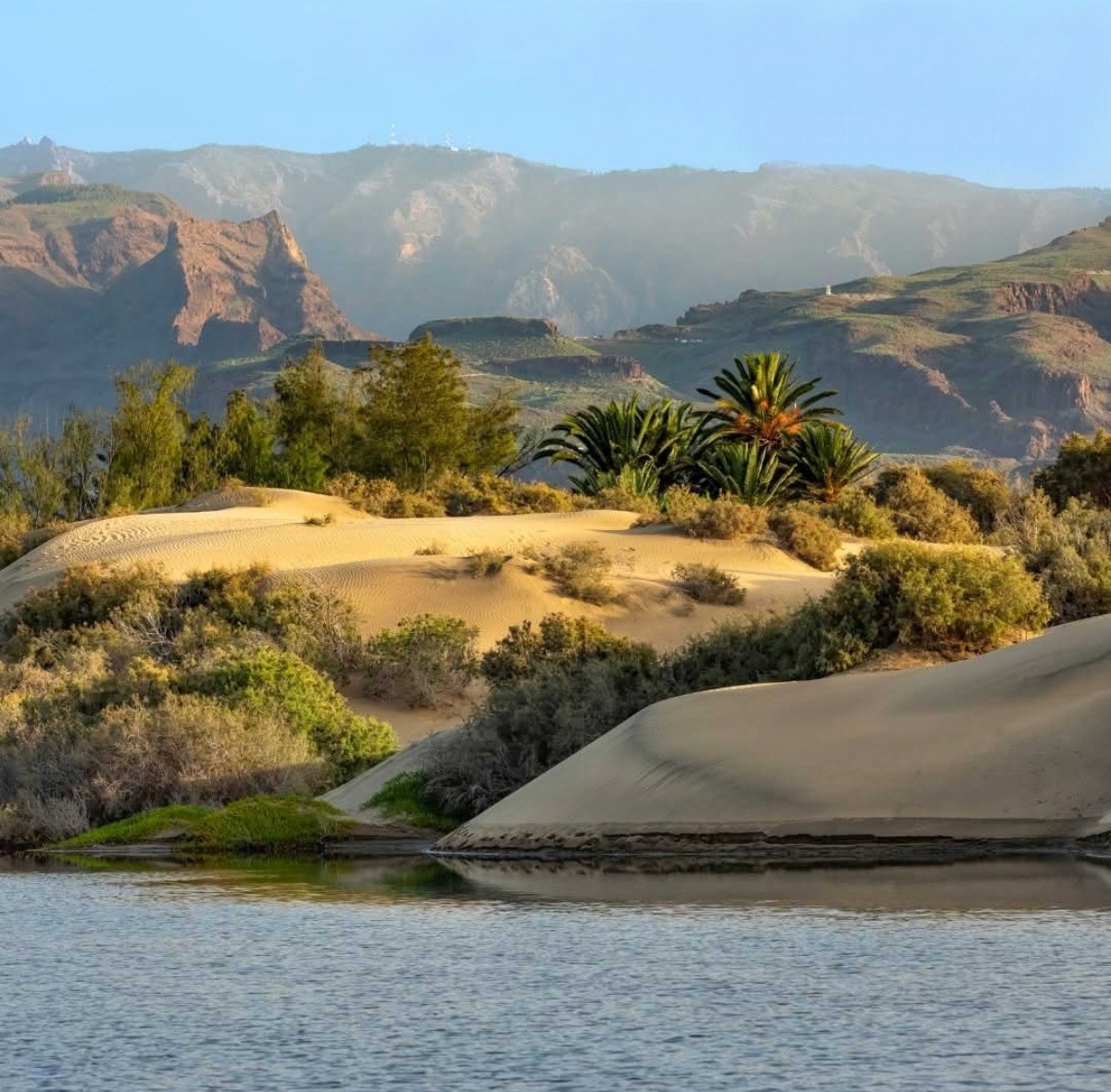 Gran Canaria Sand Dunes