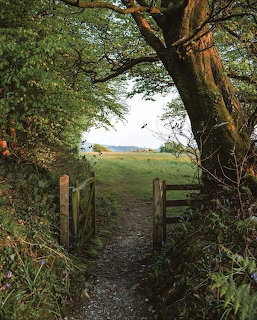 Rustic Gate Path