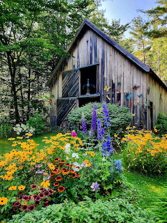 Old Barn Summer Flowers