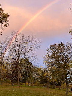 Double rainbow over trees in park with cloudy sky and green grass