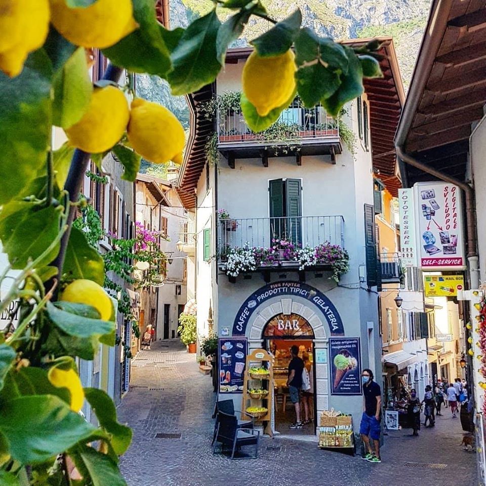 Sunny street in Limone sul Garda with yellow lemons hanging from tree, pastel buildings, and mountain backdrop