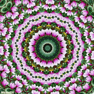Pink Flower Mandala