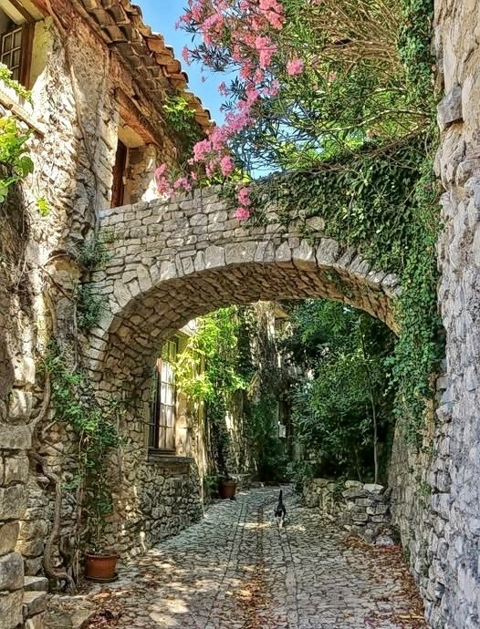 Cobblestone village lane with a stone arch, ivy-covered walls, and pink flowering trees