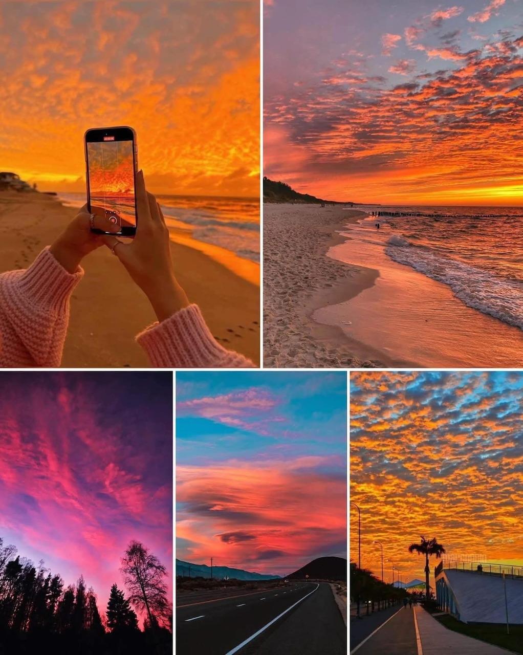 Collage of five sunset photos with vivid orange, pink, and purple skies over beaches and roads