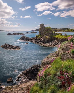 Stone castle ruins on rocky coast with blue water, green grass, and pink flowers under cloudy sky