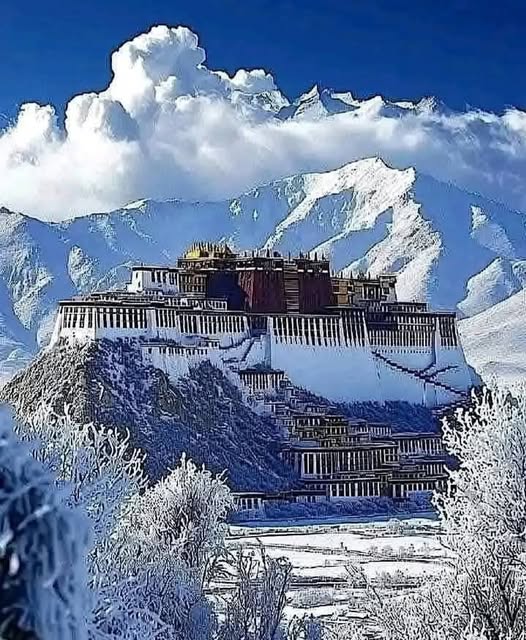 Potala Palace perched on a snow-covered hill in Lhasa, Tibet, with snowy mountains and frosted trees below
