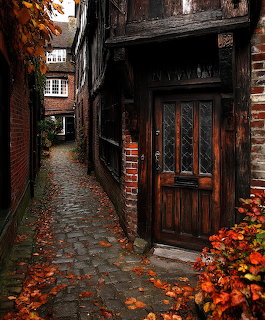 Old wooden door in narrow brick alley with autumn leaves on wet cobblestones