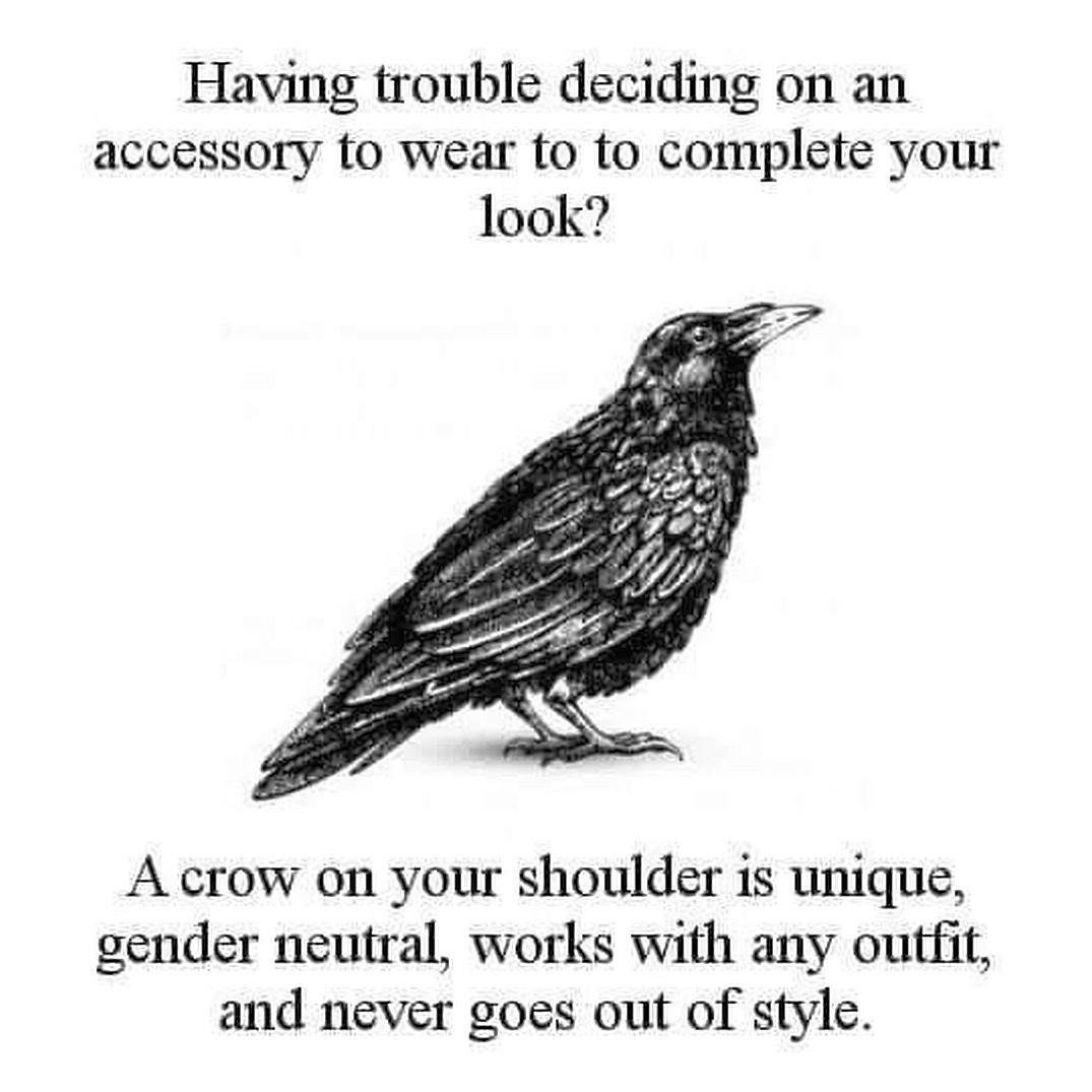 Crow illustration with humorous text about fashion accessories and staying stylish