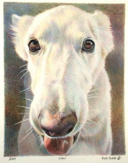 Cali White Greyhound Portrait