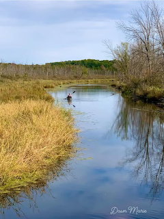 Single kayaker on a calm marsh river with reeds and bare trees