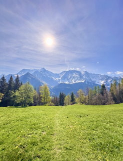 Green meadow with snow-capped Mont Blanc mountains, forest, and bright sun in blue sky