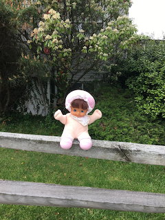 Baby Doll on Garden Fence