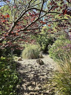 Pebble garden path under tree canopy with ornamental grasses and flowers