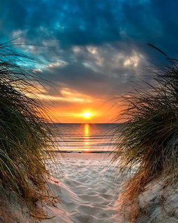 Sunrise over ocean framed by beach grass on sand dunes with golden sky reflected in waves