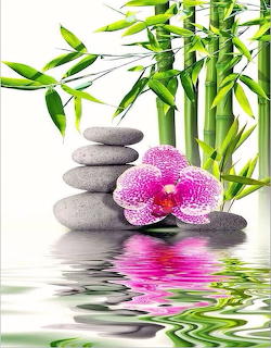 Stacked gray pebbles beside pink orchid and bamboo stems with water reflection