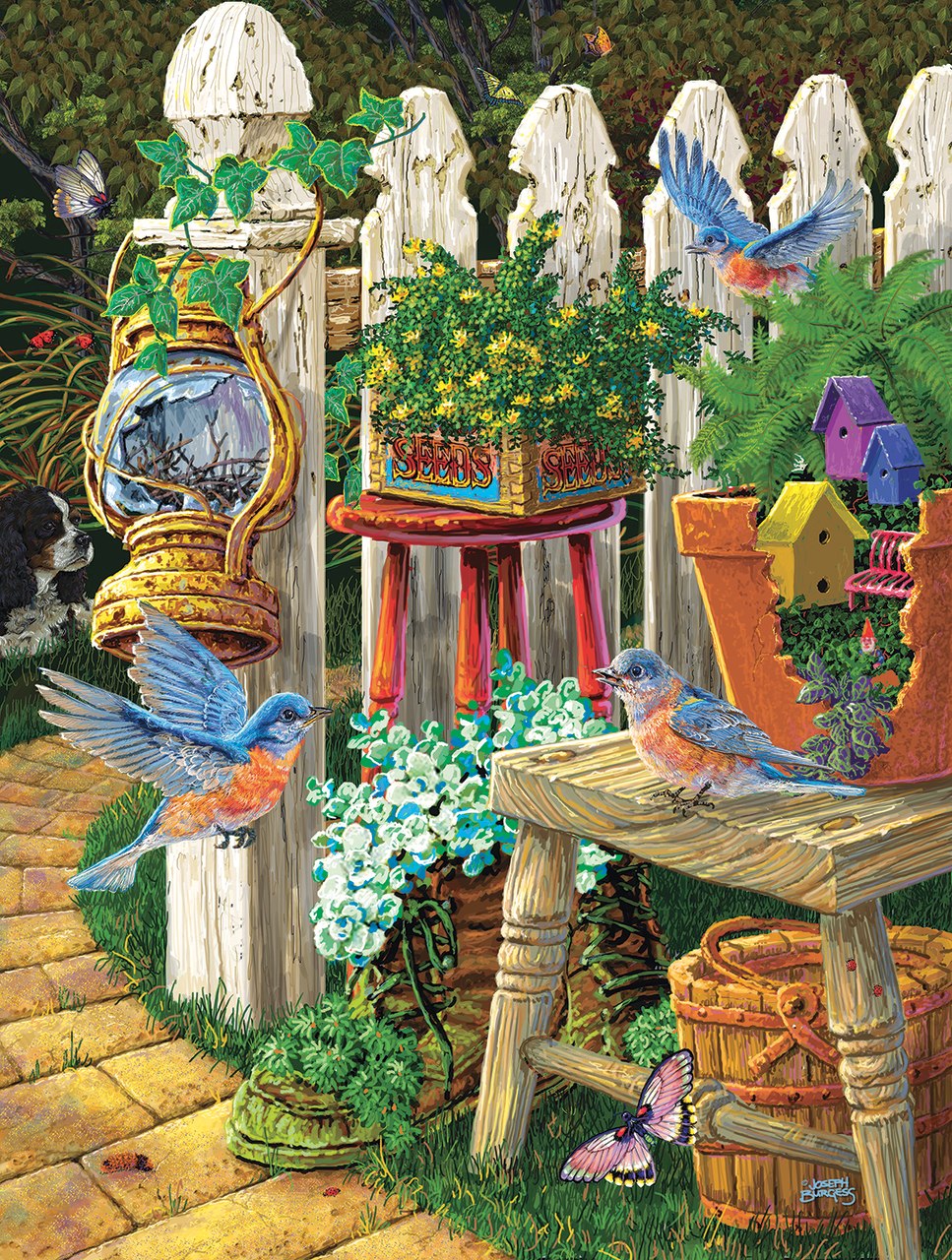 Colorful Birds