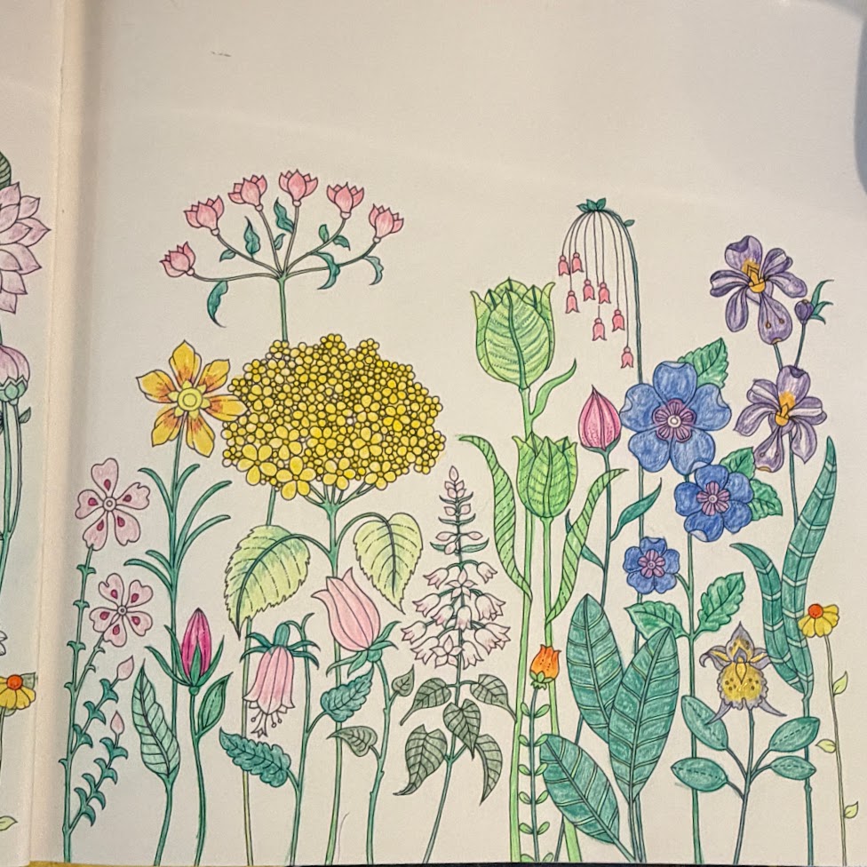 Hand-drawn wildflower garden illustration with colorful blooms on textured paper