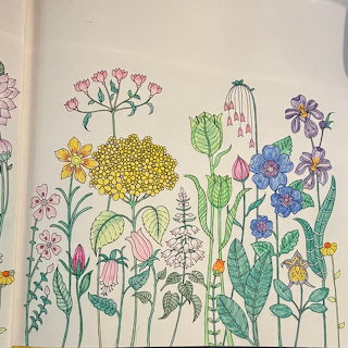 Wildflower Garden Drawing