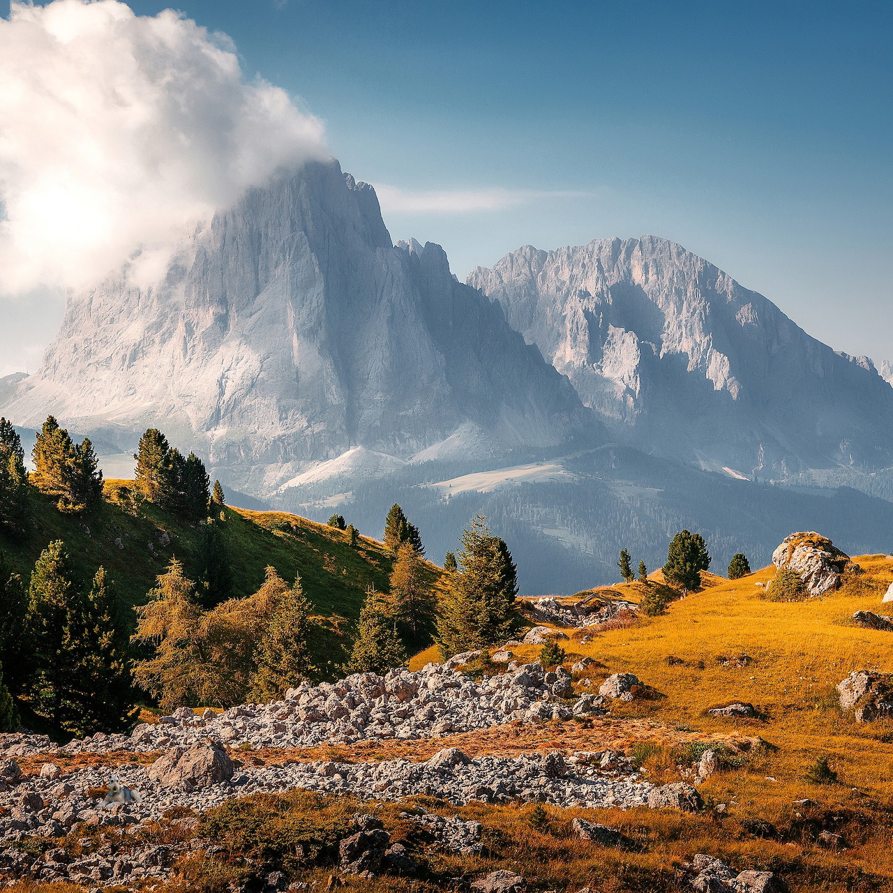 Golden alpine meadow with trees and rocky ground below tall snow-dusted mountains