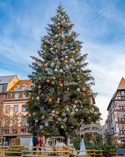 Strasbourg Christmas Tree