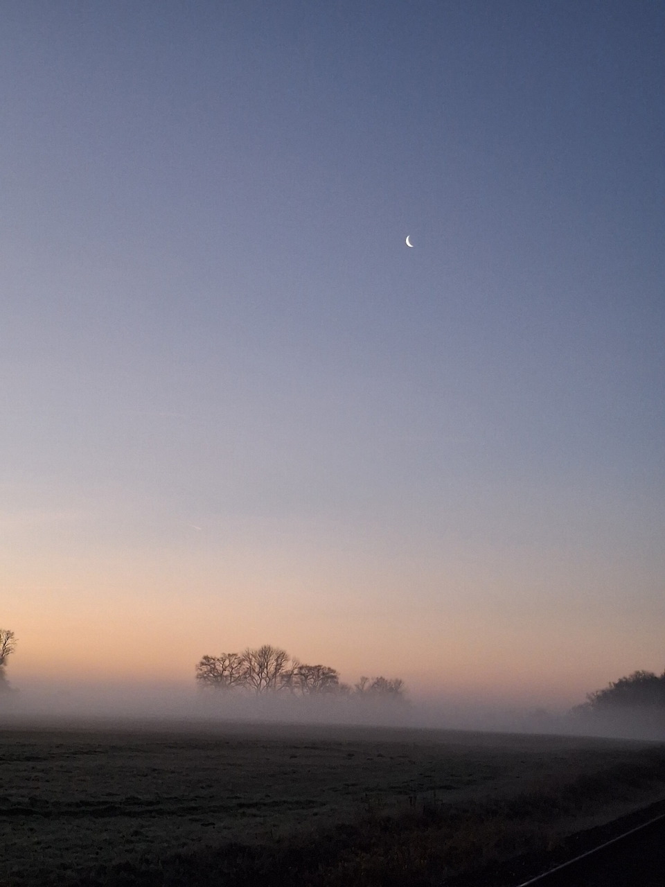 Fogy Landscape Crescent Moon
