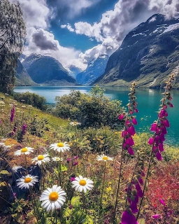 Wildflowers on a hillside overlooking a turquoise mountain lake and steep mountains under cloudy skies