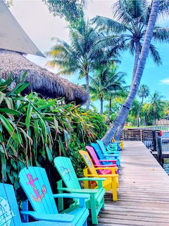 Colorful Tropical Beach Chairs