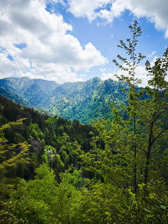 Green forested mountains under a blue sky with white clouds