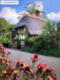 Thatched Cottage Garden