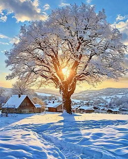Snow-covered tree backlit by sunset over a snowy village and hillside in winter