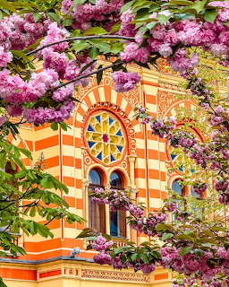 Orange and white striped historic building with round window surrounded by pink flowering trees