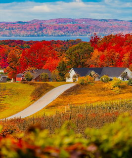 Autumn village with colorful fall foliage, winding road, houses, vineyard, and distant lake