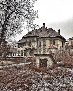 Abandoned ornate manor house with decorative facade surrounded by bare trees in winter