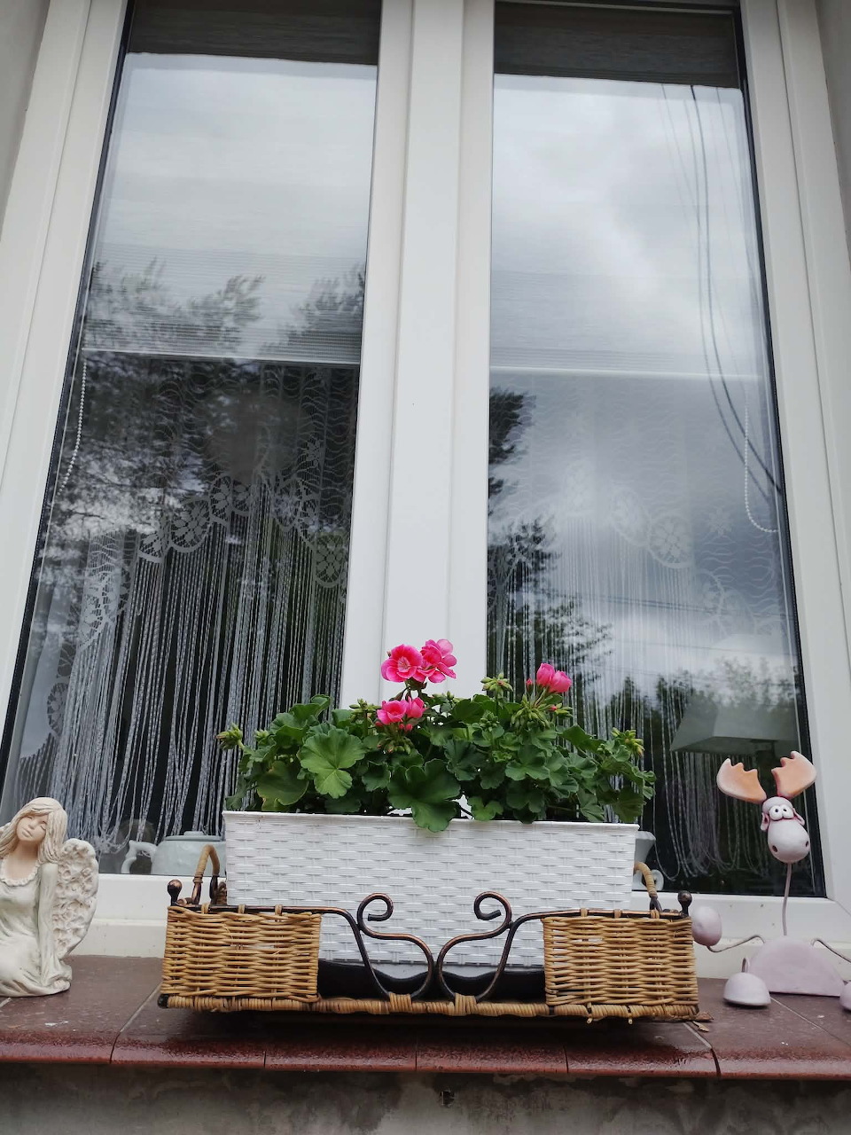 Geraniums on Windowsill